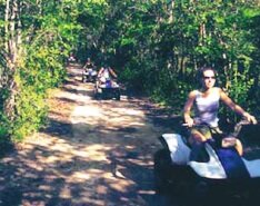 2 hour tour near Playa del Carmen mexico - ATV Explorer Jungle Tours, Playa del Carmen